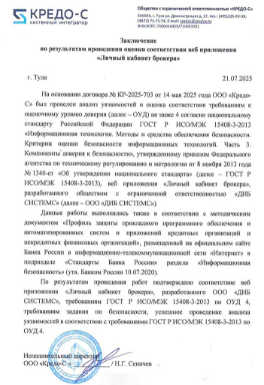 Пример изображения отчета