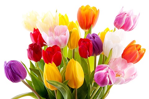 8march2015.jpg 8march2015.jpg